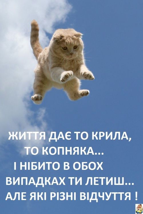 Мудрі слова