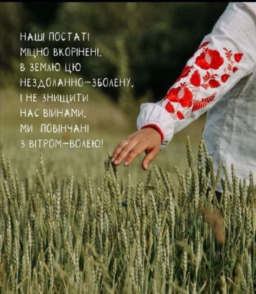 Мудрі слова, nofbt
