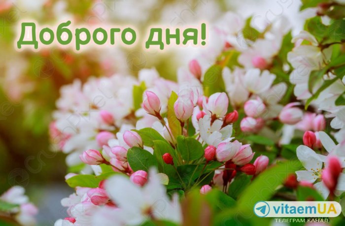 Гарного дня 4101