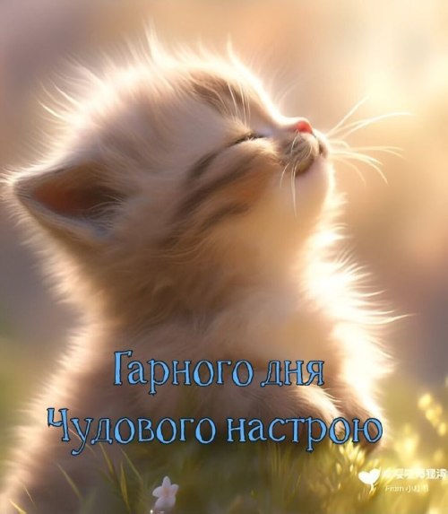 Гарного дня