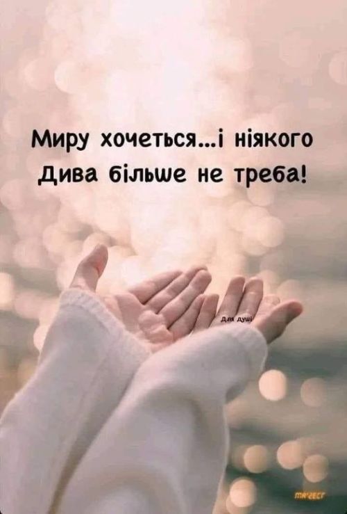 Мудрі слова