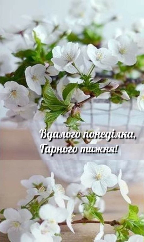 Доброго ранку 4166