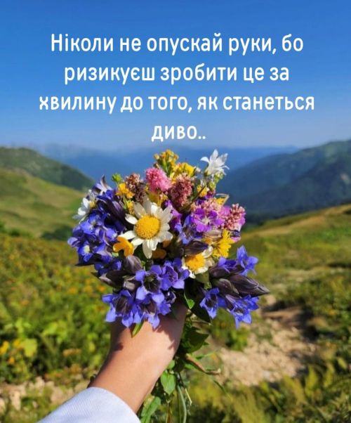 Мудрі слова 4184