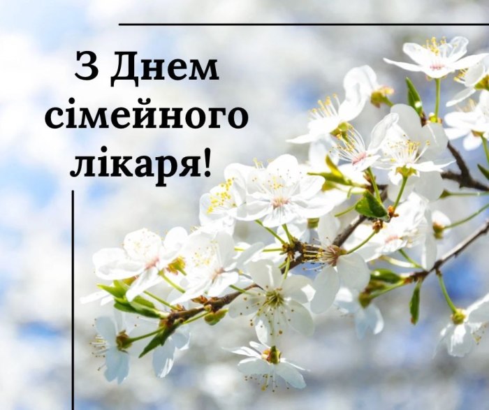 професійне свято, сімейний лікар, медик, лікар