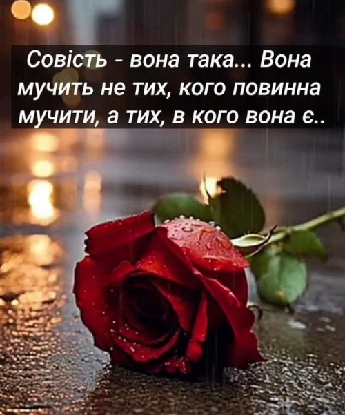 Мудрі слова