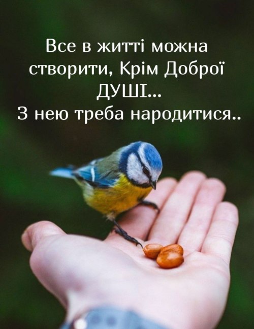 Мудрі слова