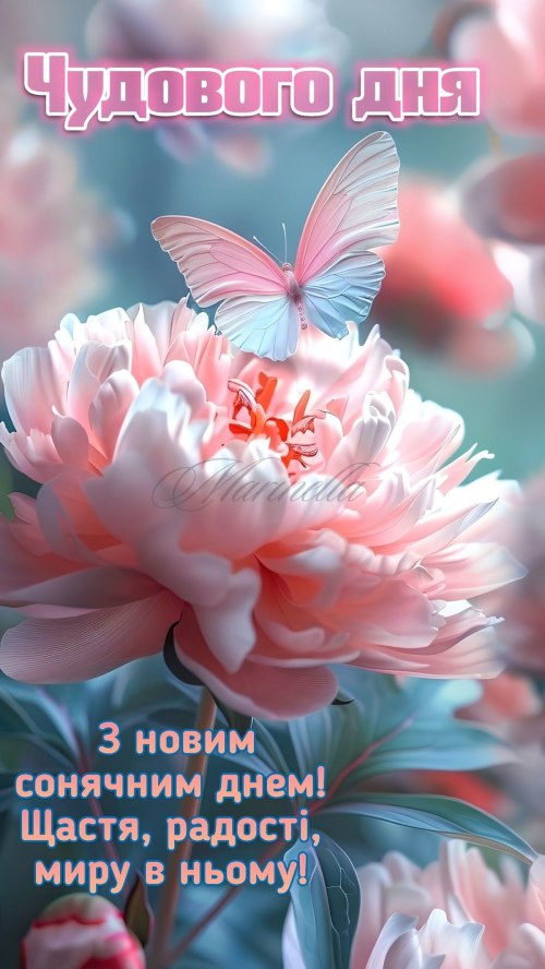 Доброго ранку