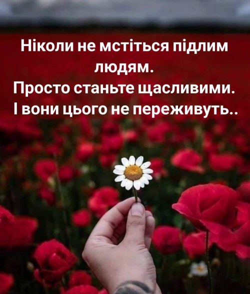 Мудрі слова