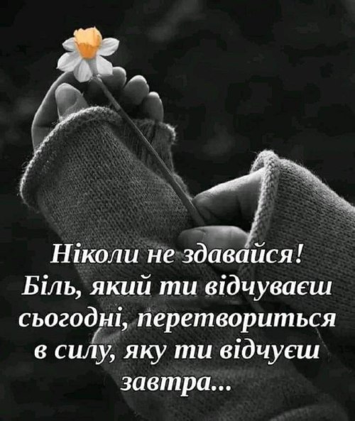 Мудрі слова