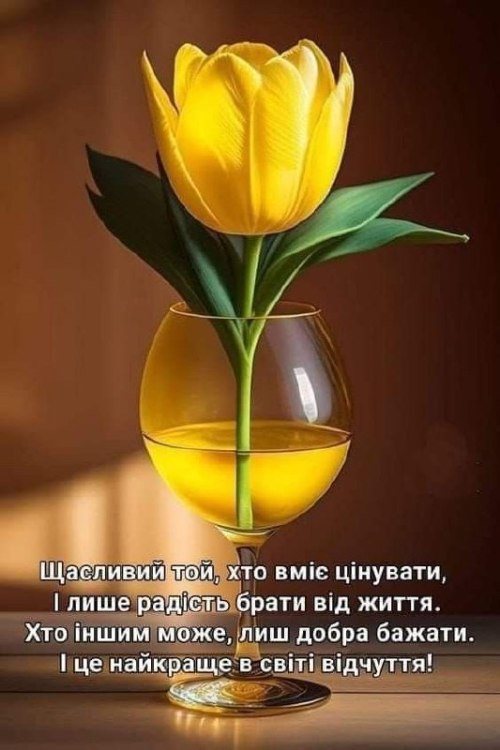 Мудрі слова