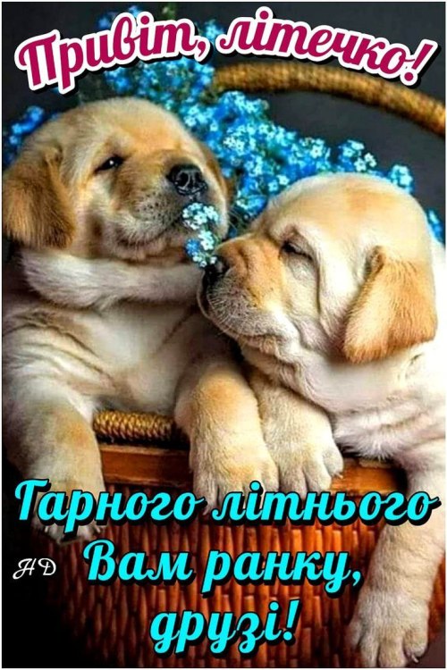 Доброго ранку