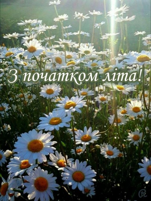 вітаю, побажання, літо, червень