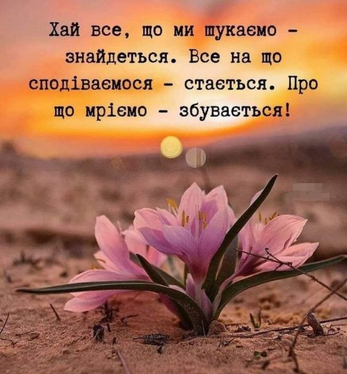 Мудрі слова