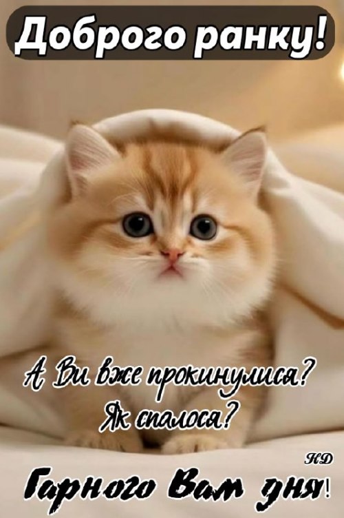 Доброго ранку 4437