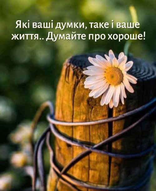 Мудрі слова 4441