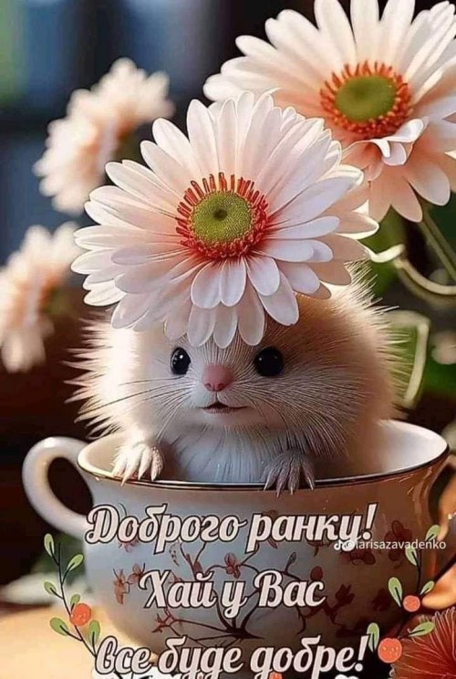 Доброго ранку