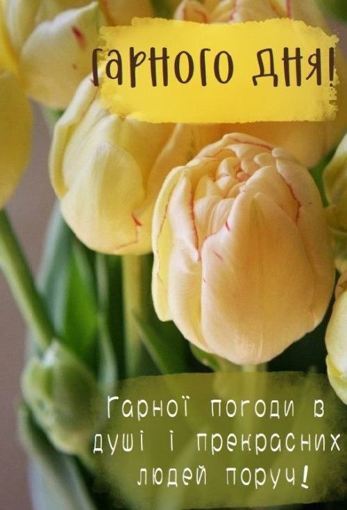 Гарного дня