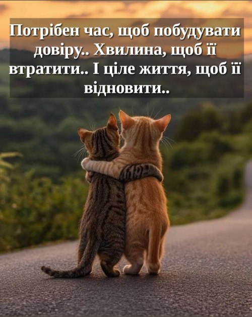 Мудрі слова