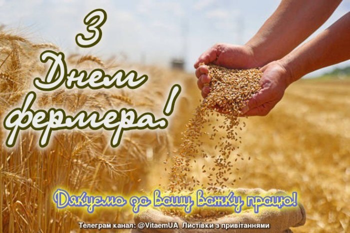 , фермер, врожай
