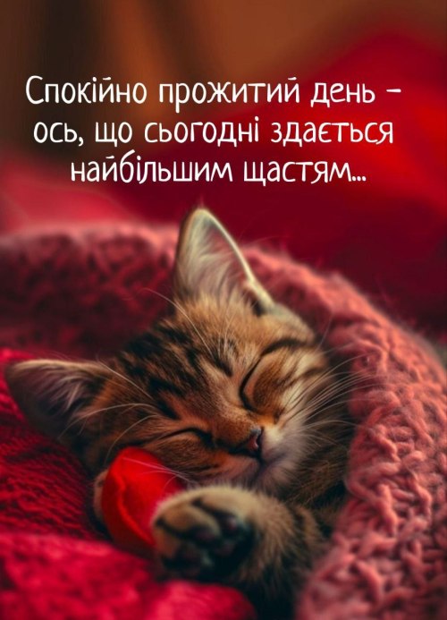 Мудрі слова