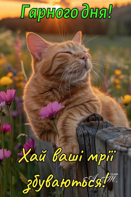 Гарного дня