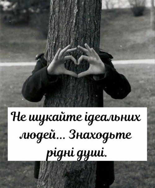 Мудрі слова