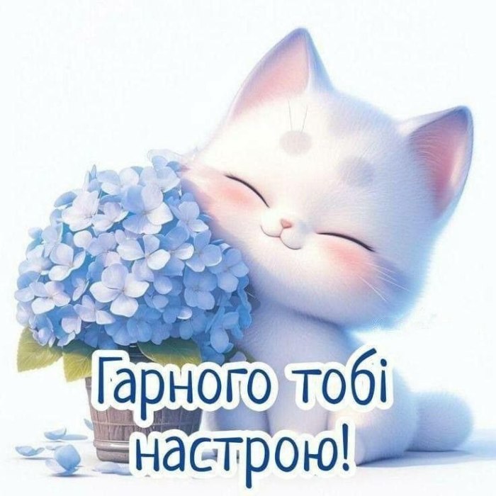 любов