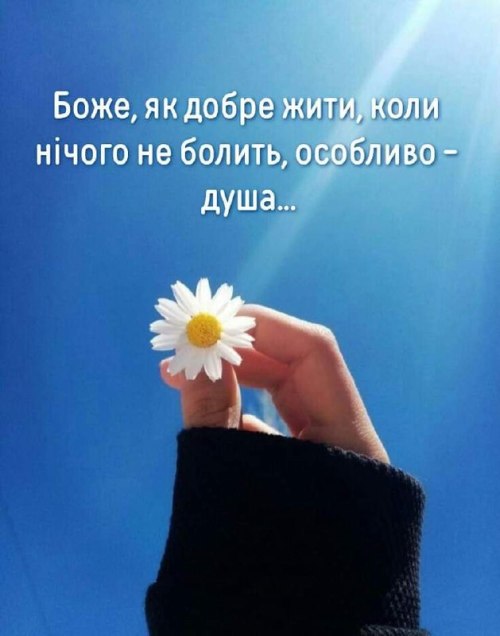 Мудрі слова