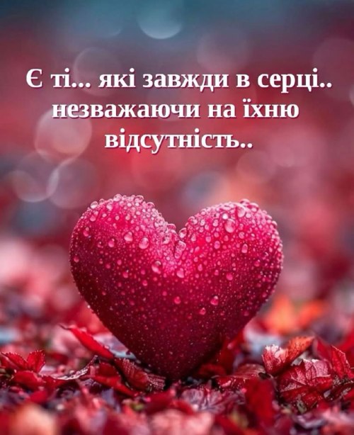 Мудрі слова