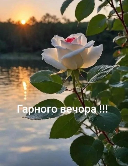 Гарного вечора