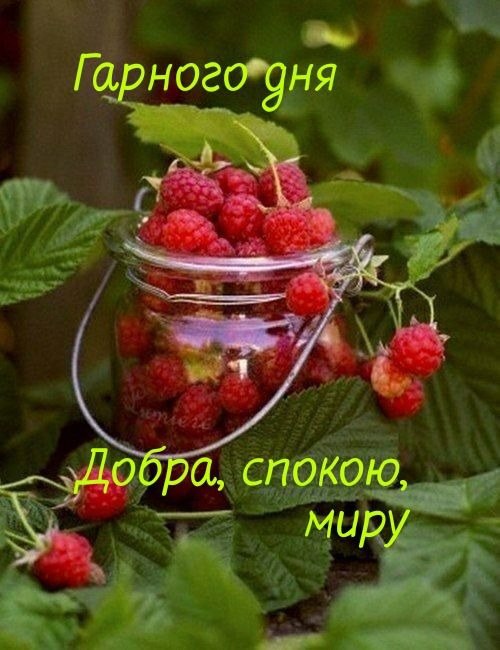Гарного дня