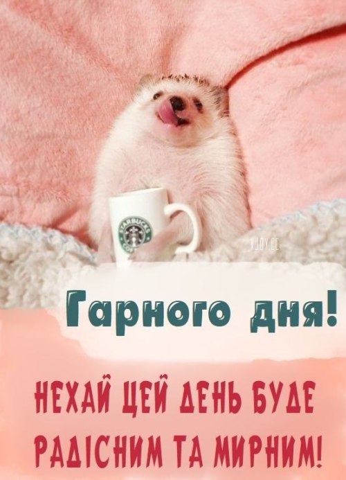 Гарного дня