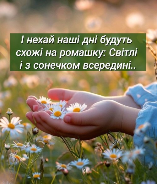 Мудрі слова