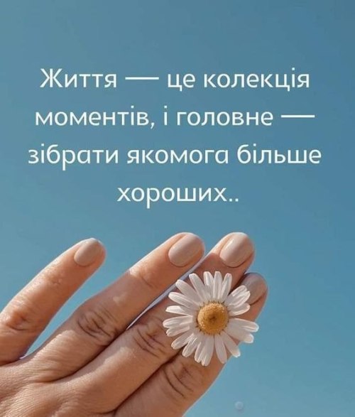 Мудрі слова