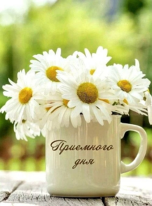 Гарного дня