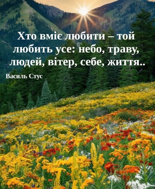 Мудрі слова