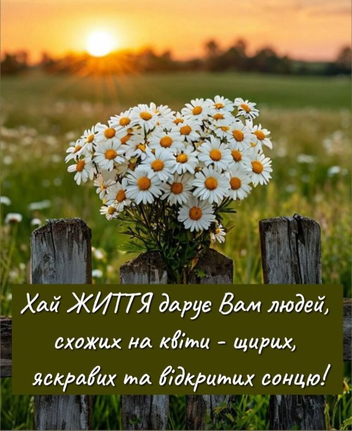 Мудрі слова