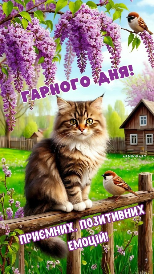 Гарного дня 4879