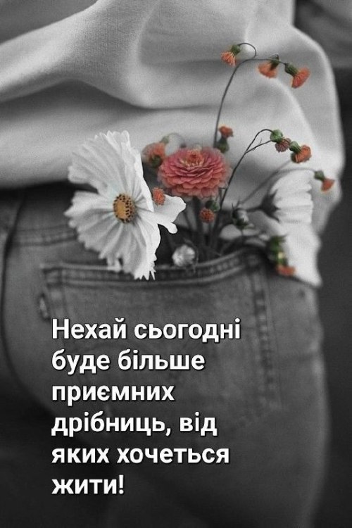 Мудрі слова