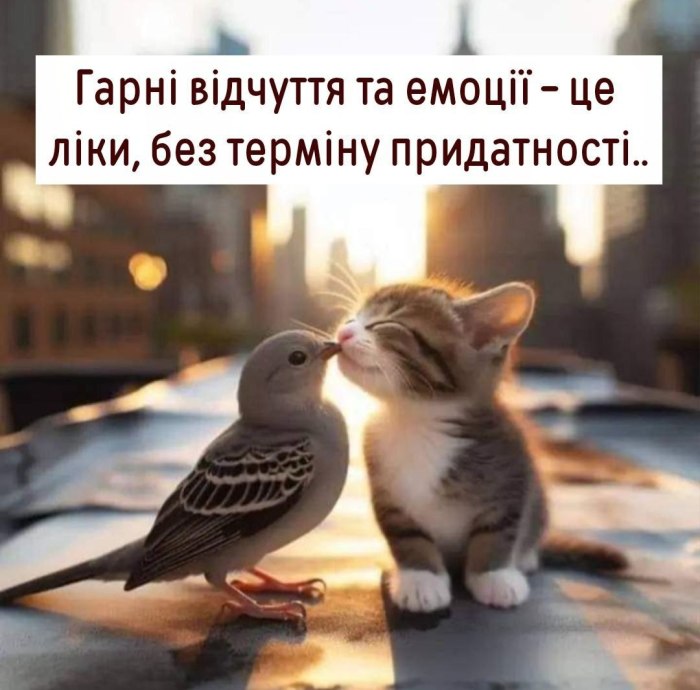 Мудрі слова