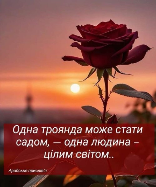 Мудрі слова
