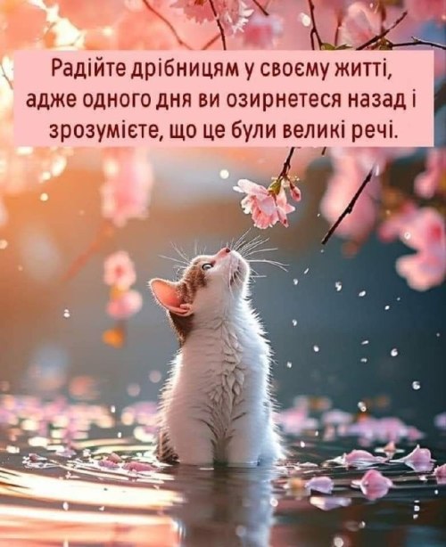 Мудрі слова