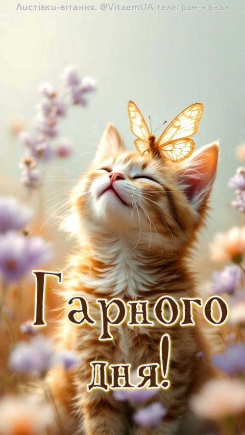 Гарного дня 4955