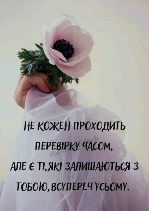 Мудрі слова
