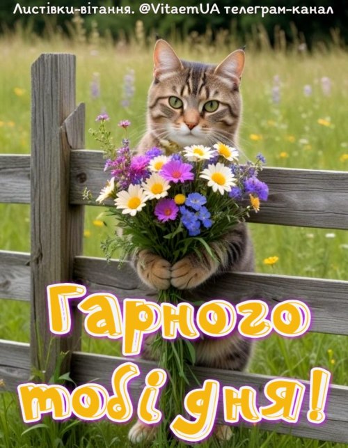 Гарного дня