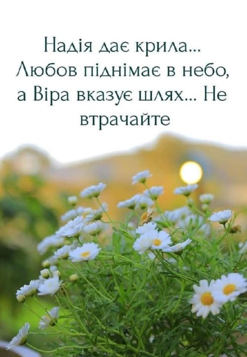 Мудрі слова