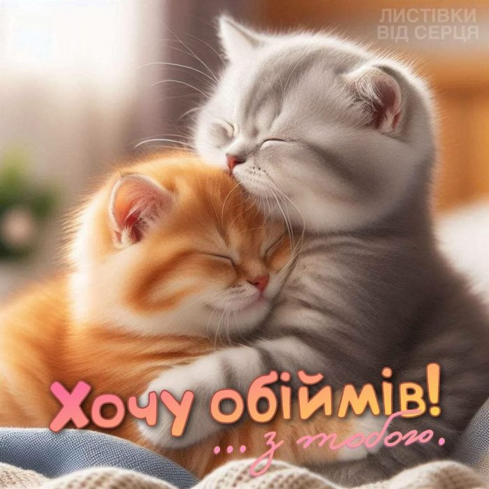 любов
