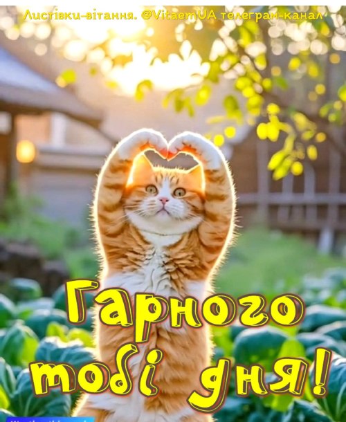 Гарного дня
