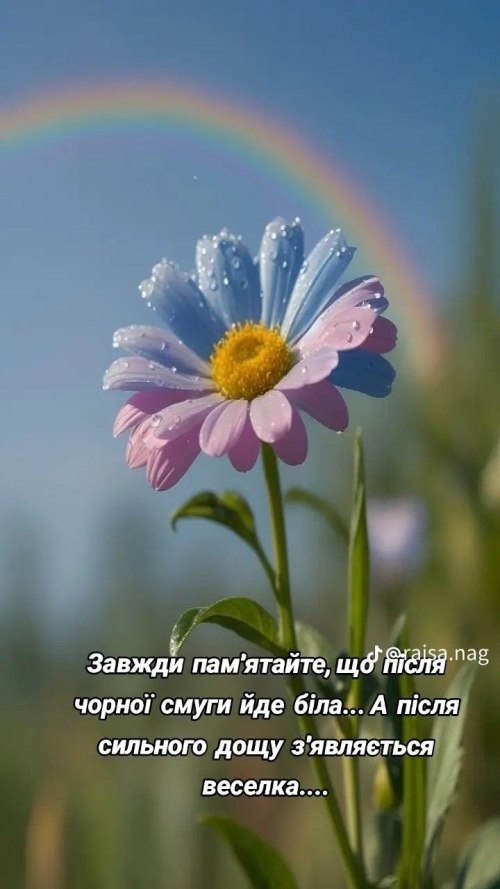 Мудрі слова