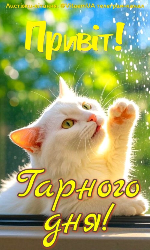 Гарного дня
